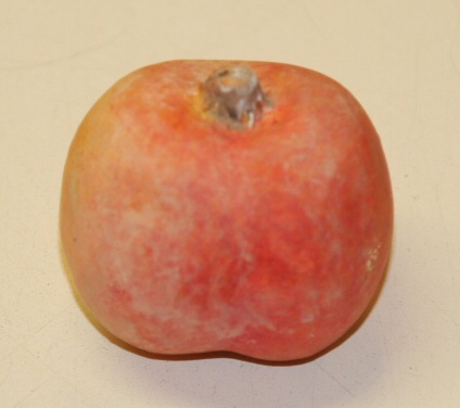 Ceramic Peach